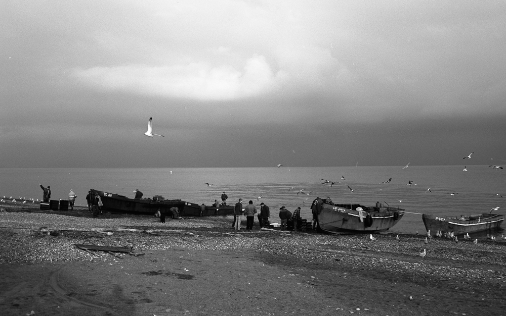 Сочи.Ноябрь. Идет барабуля (султанка)...Поздней осенью её много..очень много. Рыбаки не успевают утром разгрузить баркасы - и снова в море. Барабуля везде - в магазинчиках в рыбацких артелях...на улицах у частных торговцев...на вечерних рынках она лежит практически за бесценок....В кафешках и ресторанчиках - жареная барабуля..у отдыхающих на сковородках шкара из барабули.До января будет её пора..пора жирной, вкусной барабульки.Потом пойдет черноморская треска...сарган..ставрида...Черное море.Ноябрь.Сочи.